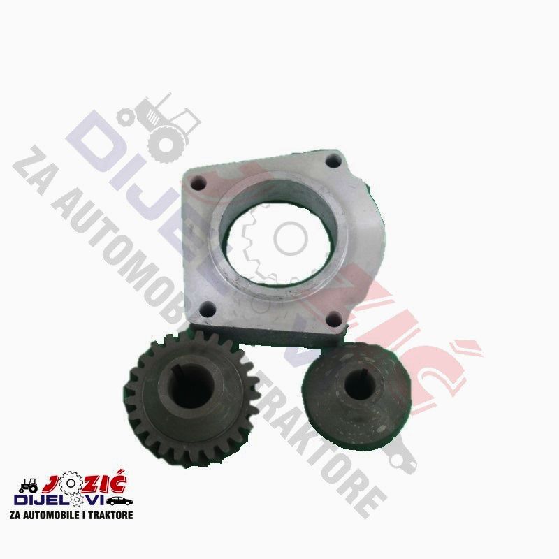 Daisy on the Ohoopee